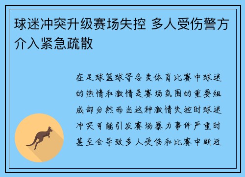 球迷冲突升级赛场失控 多人受伤警方介入紧急疏散