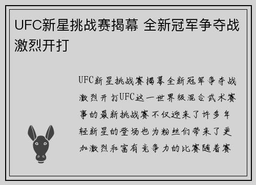 UFC新星挑战赛揭幕 全新冠军争夺战激烈开打