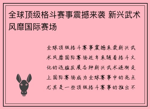 全球顶级格斗赛事震撼来袭 新兴武术风靡国际赛场